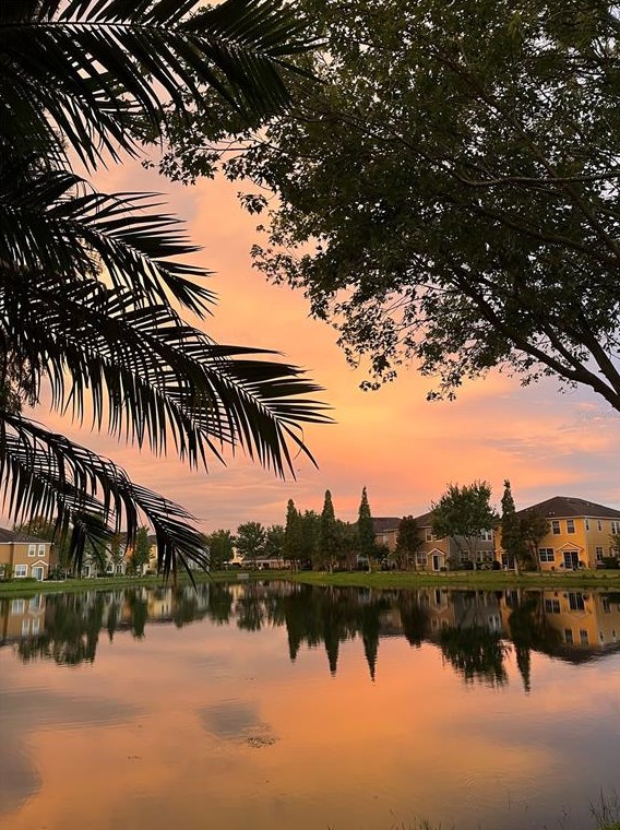 8845 Moonlit Meadows Loop, Riverview FL  33578-8836 exterior