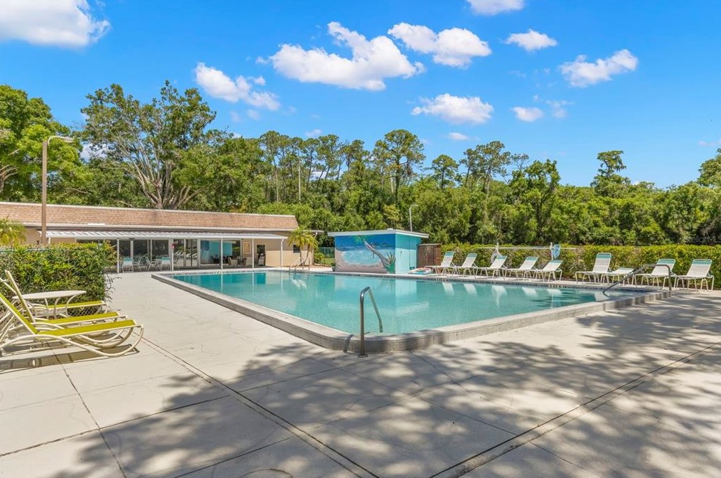 908 Anchorage Ln, Palm Harbor FL  34685-1603 exterior