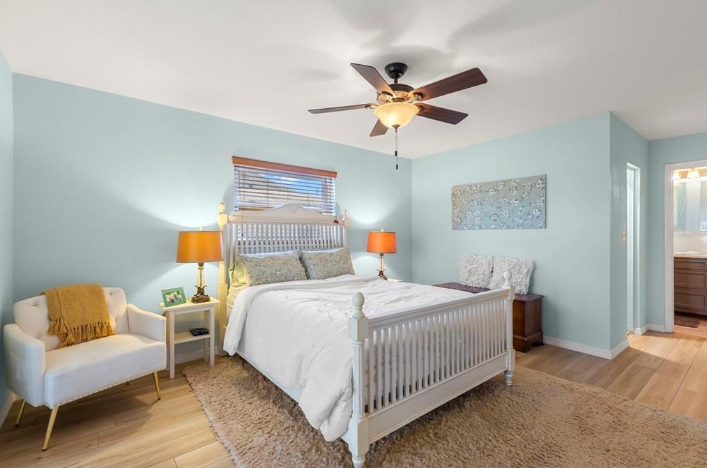 908 Anchorage Ln, Palm Harbor FL  34685-1603 exterior