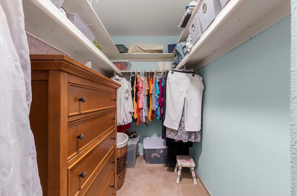 908 Anchorage Ln, Palm Harbor FL  34685-1603 exterior