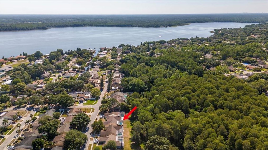 3128 Jodi Ln, Palm Harbor, FL 34684-1646
