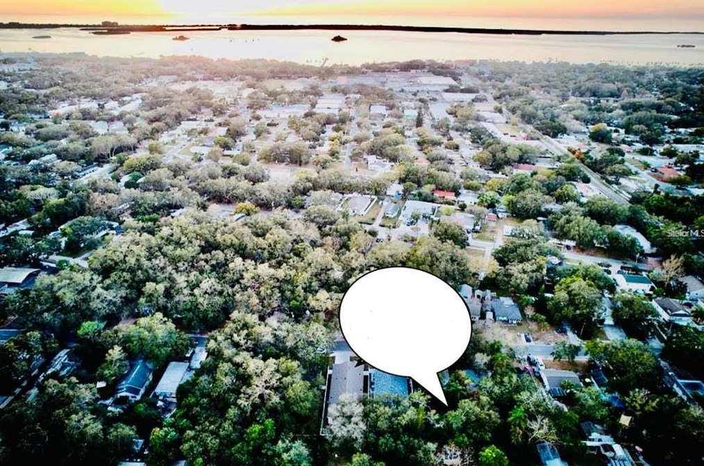 1241 New York Ave, Dunedin, FL 34698