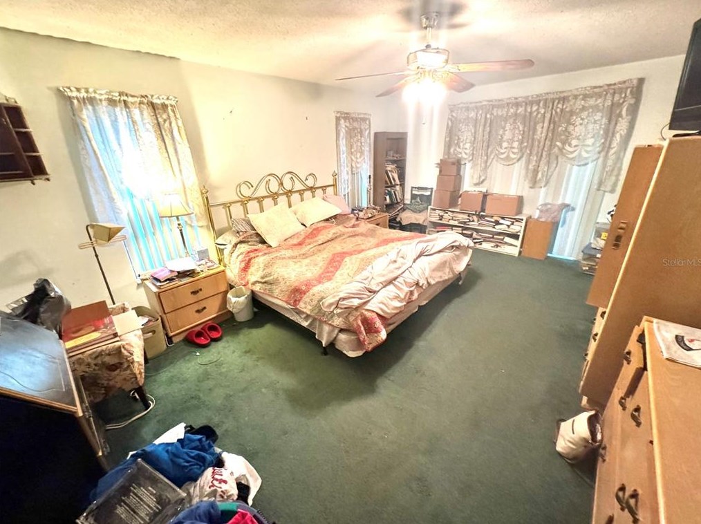 705 Wild Oak Ln, Palm Harbor FL  34683-3033 exterior