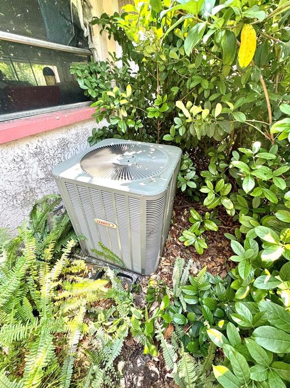 705 Wild Oak Ln, Palm Harbor FL  34683-3033 exterior