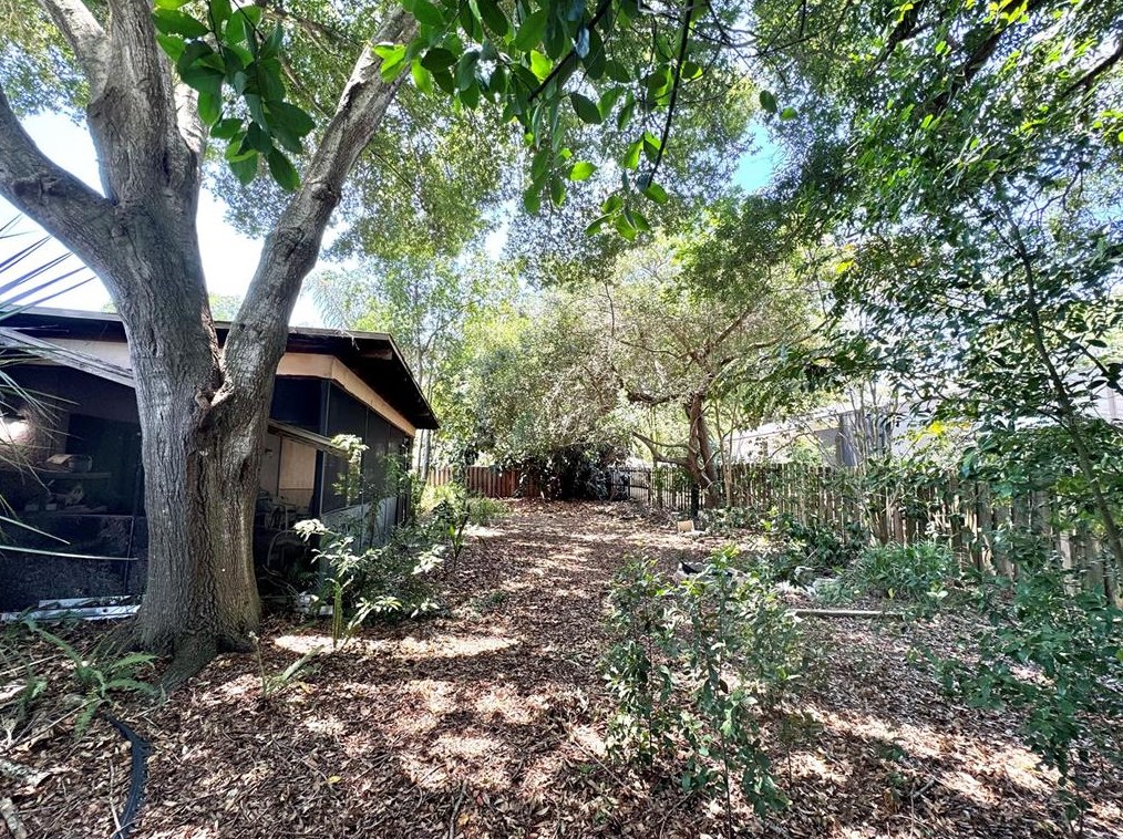 705 Wild Oak Ln, Palm Harbor FL  34683-3033 exterior