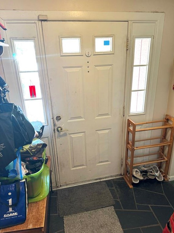 705 Wild Oak Ln, Palm Harbor FL  34683-3034 exterior