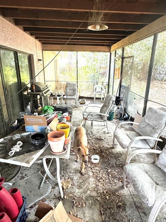 705 Wild Oak Ln, Palm Harbor FL  34683-3033 exterior