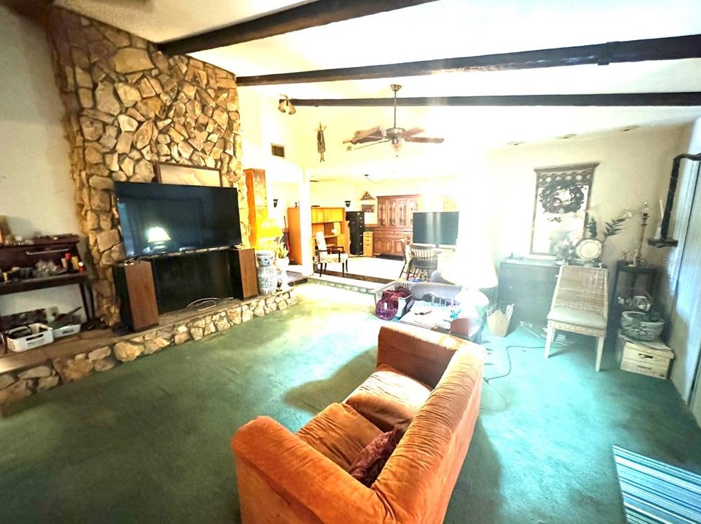 705 Wild Oak Ln, Palm Harbor FL  34683-3033 exterior