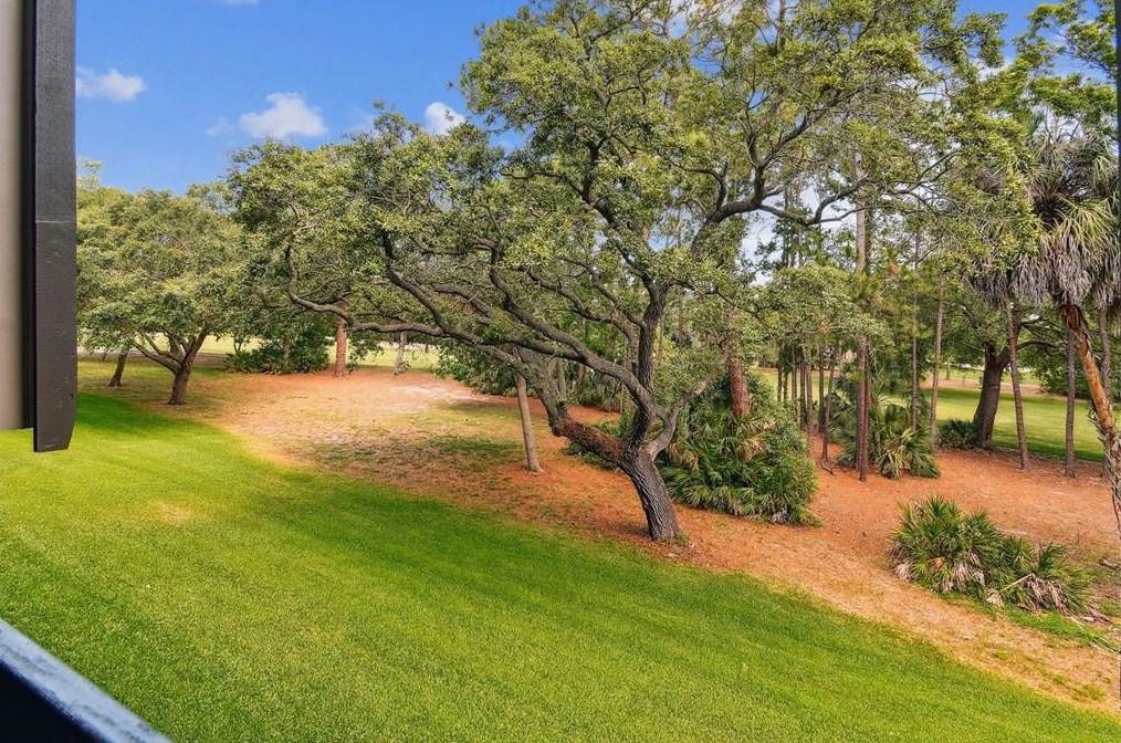 36750 Us Hwy 19 N #20-213, Palm Harbor, FL 34684