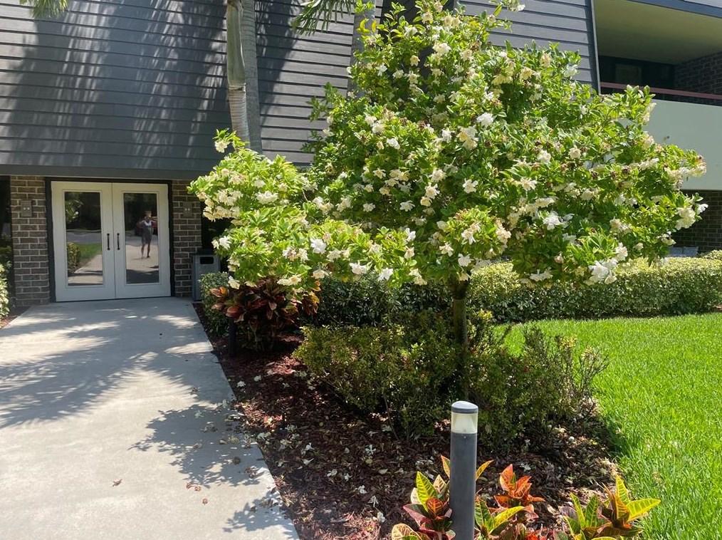 36750 Us Hwy 19 N #15-310, Palm Harbor, FL 34684