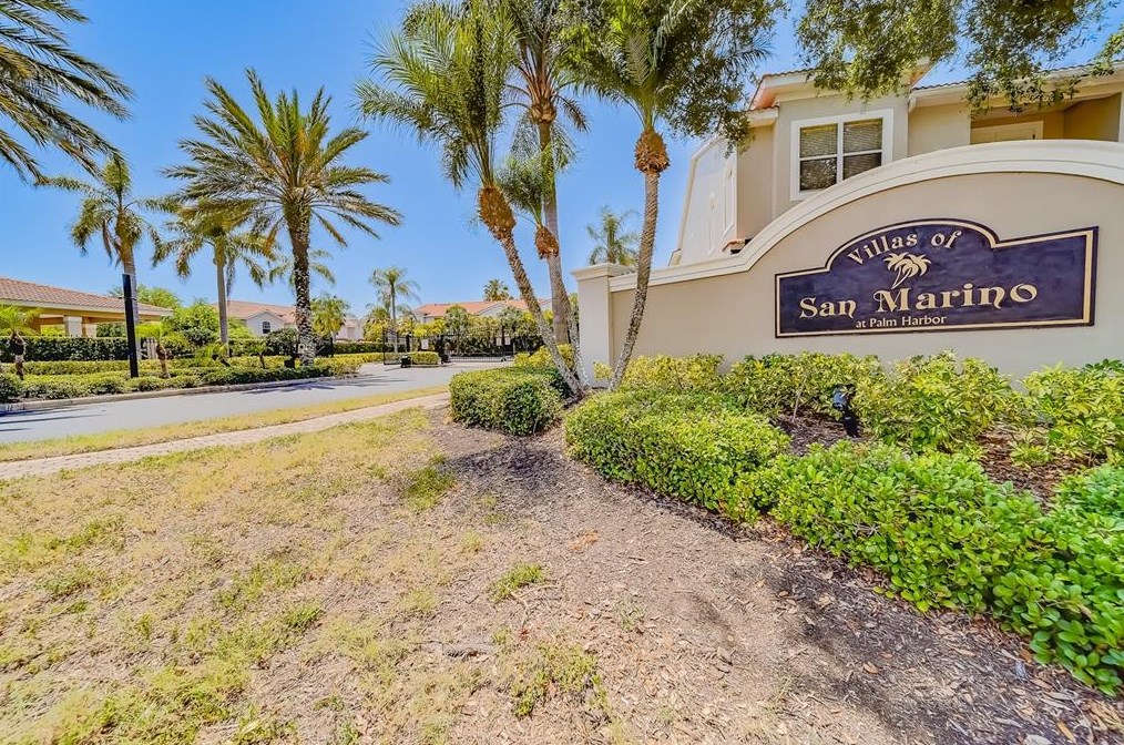 1415 Tessano Pl, Palm Harbor, FL 34683-4010