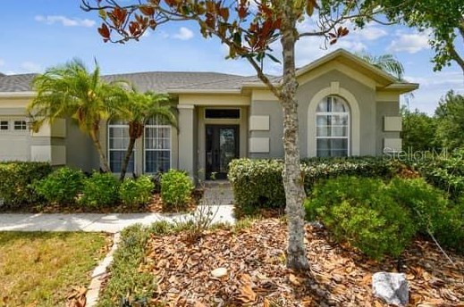 19100 Tilobe Loop, Land O Lakes, FL 34638-6150