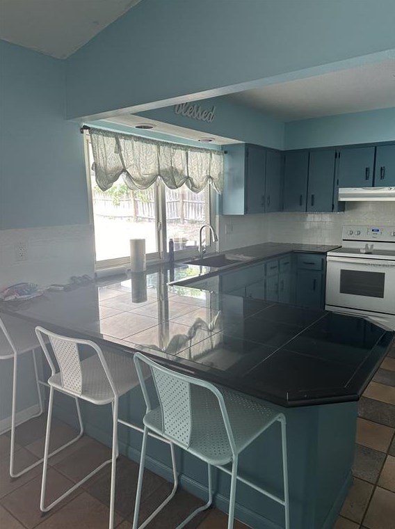 222 Earl St, Tarpon Springs FL  34689-3834 exterior