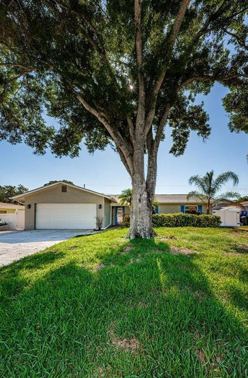 1099 Dogwood Dr, Dunedin, FL 34698