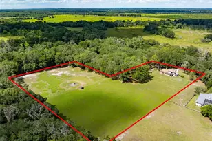 1811 Martin Rd, Dover, FL 33527 - Photo 10