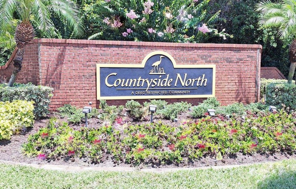 3631 Chatham Dr, Palm Harbor, FL 34684