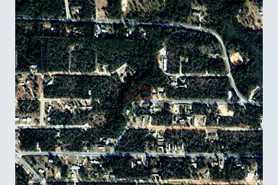Pinetree Lane, Defuniak Springs, FL 32433 - Photo 38