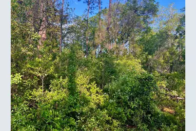 Pinetree Lane, Defuniak Springs, FL 32433 - Photo 34