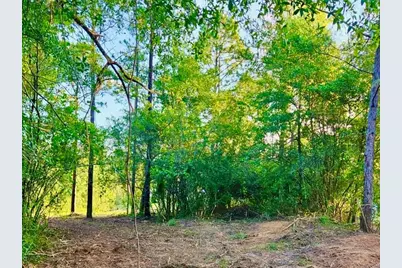 Pinetree Lane, Defuniak Springs, FL 32433 - Photo 26