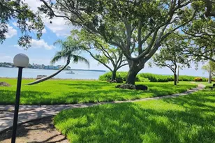 6219 Palma Del Mar Blvd S, Saint Petersburg, FL 33715 - Photo 12