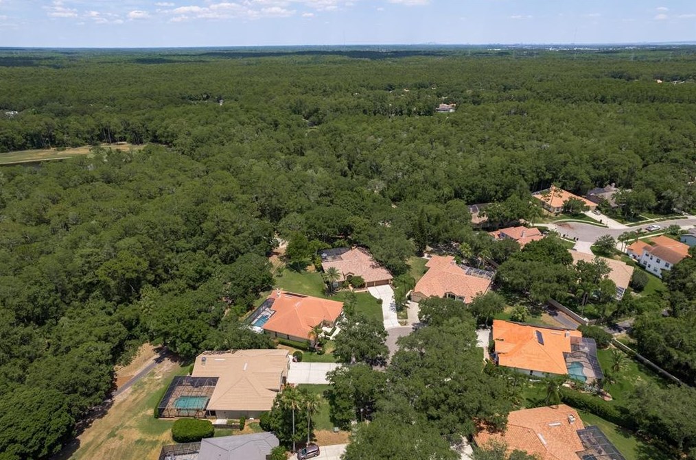 5099 Cross Pointe Dr, Oldsmar FL 34677-5214 exterior