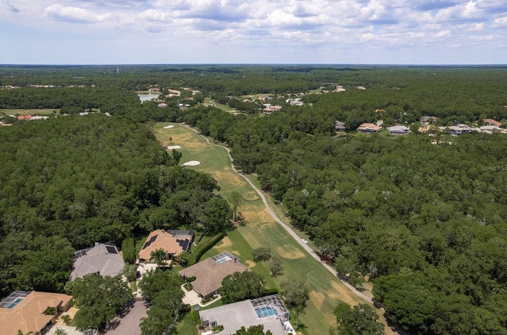 5099 Cross Pointe Dr, Oldsmar FL 34677-5214 exterior