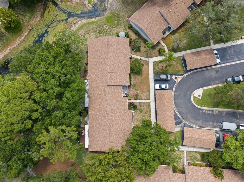 80 Tads Trl, Oldsmar FL 34677-2320 exterior