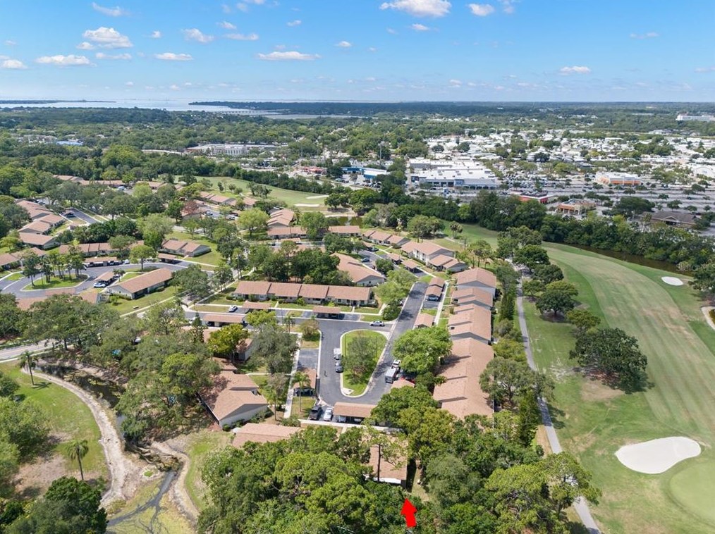 80 Tads Trl, Oldsmar FL 34677-2320 exterior