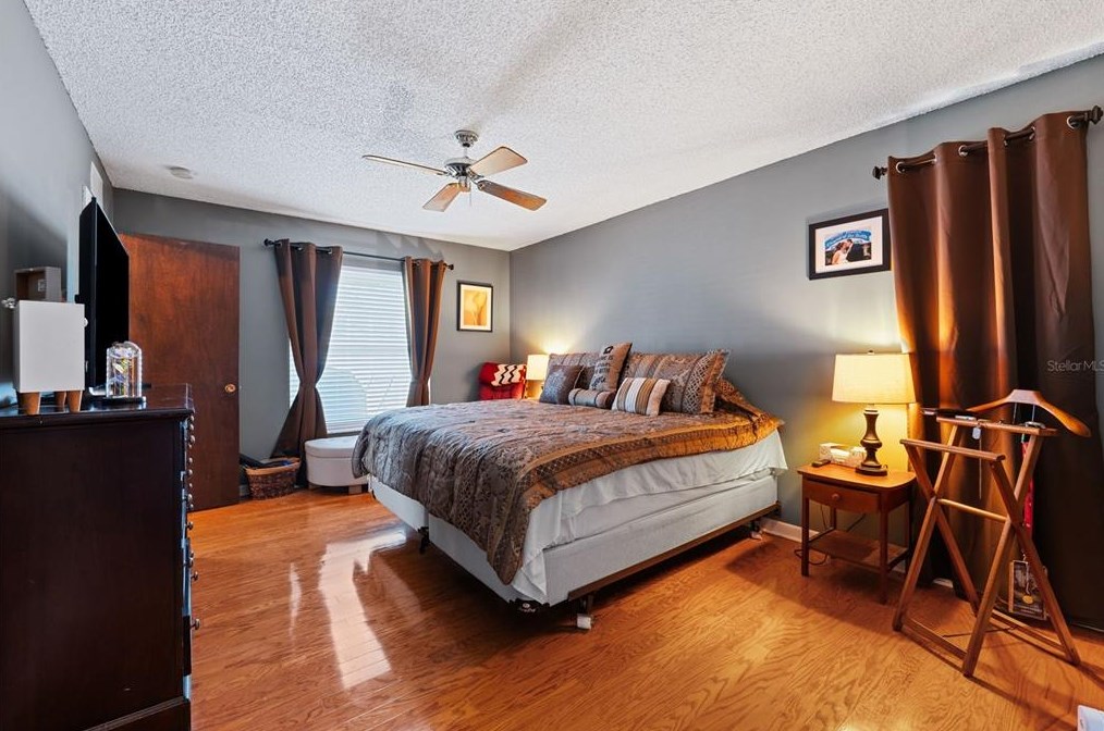 125 Cherry Laurel Dr, Palm Harbor FL  34683-4818 exterior