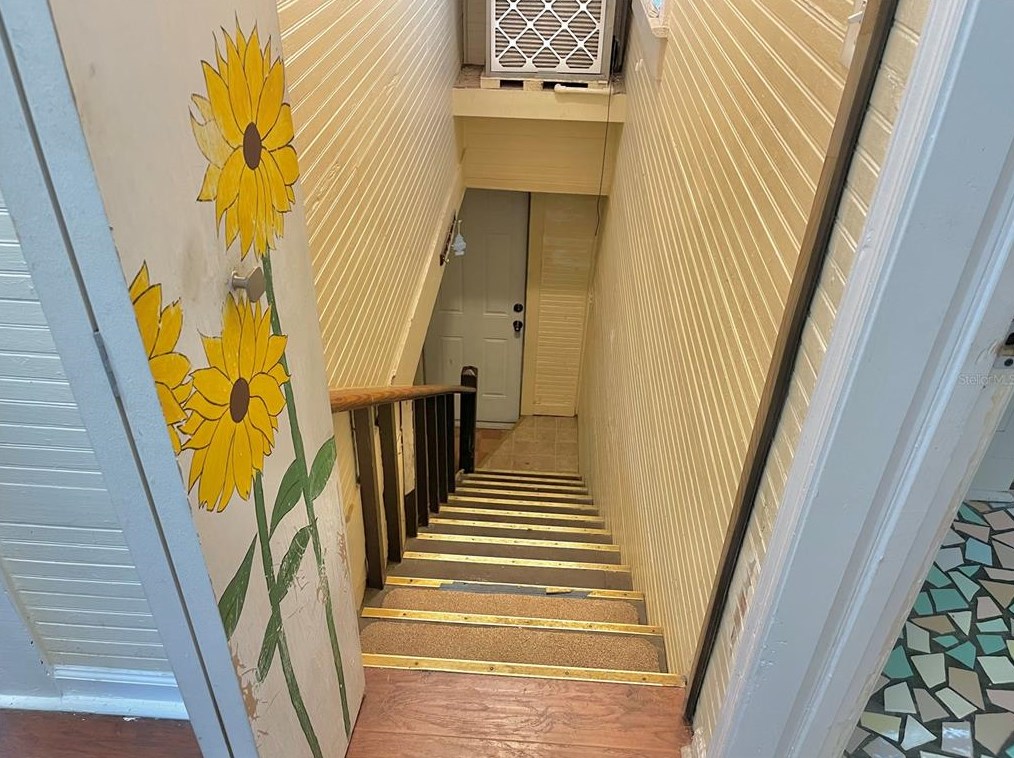 2808 Mitchell Ave, Tampa FL exterior