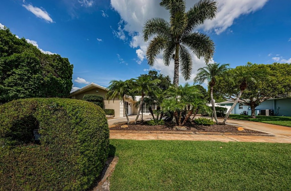 11145 Hammock Dr, Largo, FL 33774