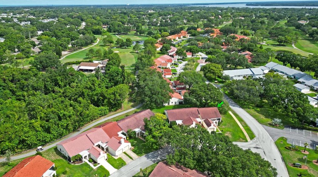 994 Madrid Dr, Palm Harbor, FL 34684