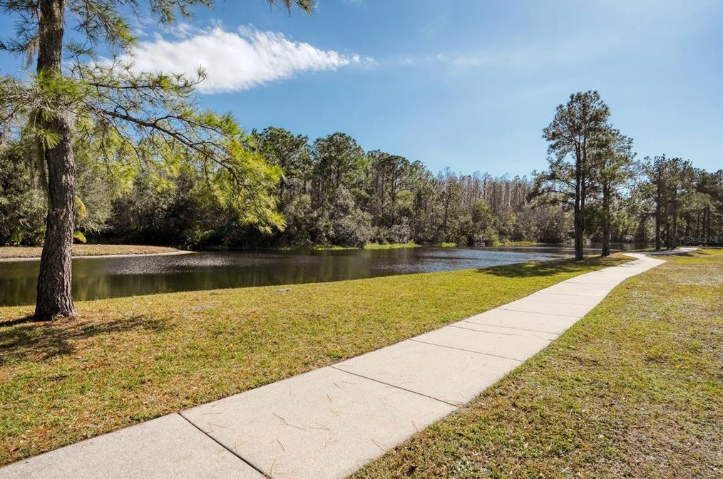 15652 Eastbourn Dr, Odessa FL  33556-2851 exterior