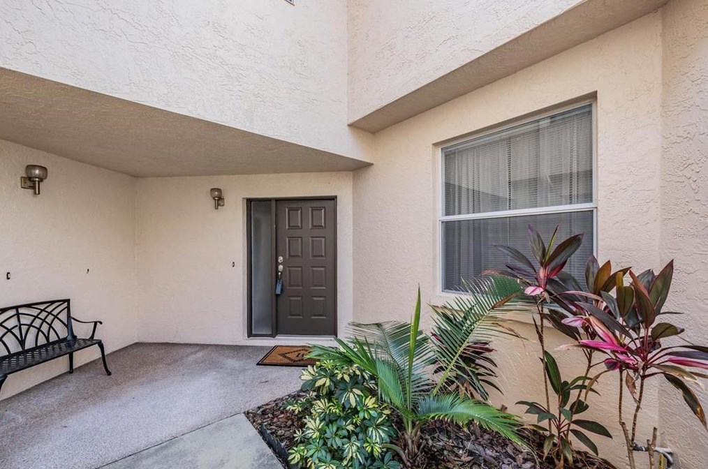 205 Clays Trail, Oldsmar, FL 34677