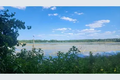 17700 Lake Iola Road, Dade City, FL 33523 - Photo 2