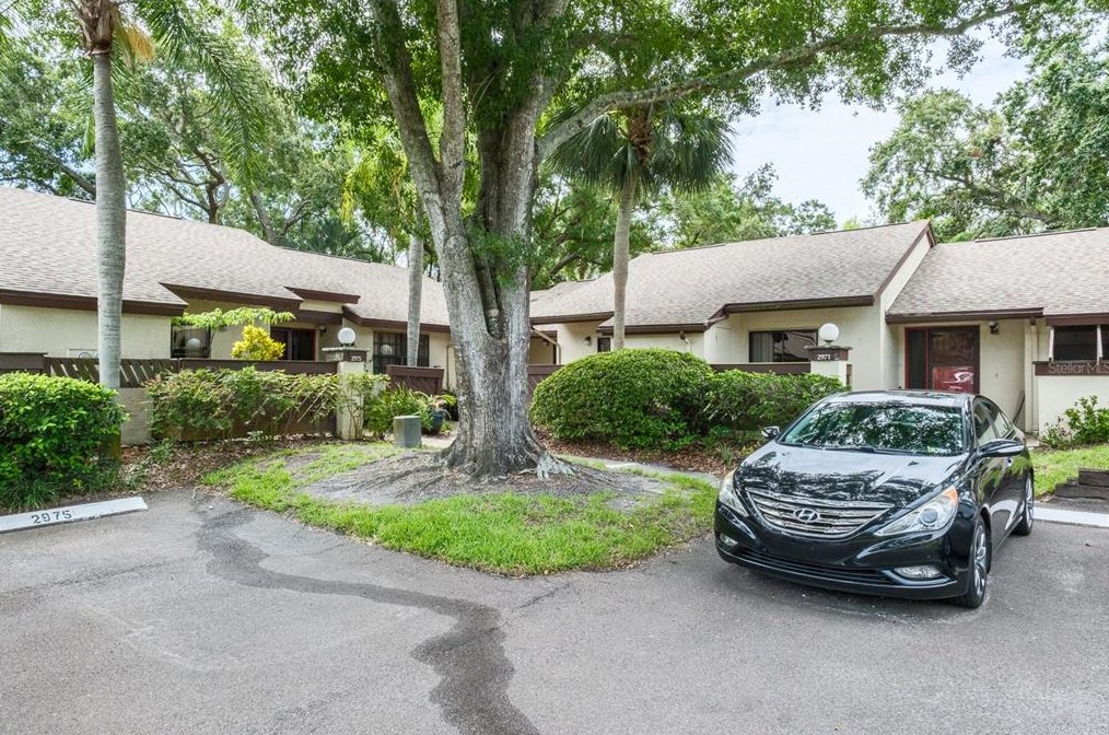 2973 Elder Ct, Palm Harbor, FL 34684