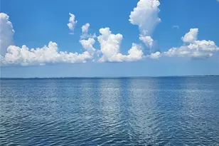 2506 N Rocky Point Dr, Tampa, FL 33607 - Photo 28