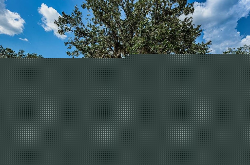 26549 Castleview Way, Zephyrhills FL 33544-4738 exterior