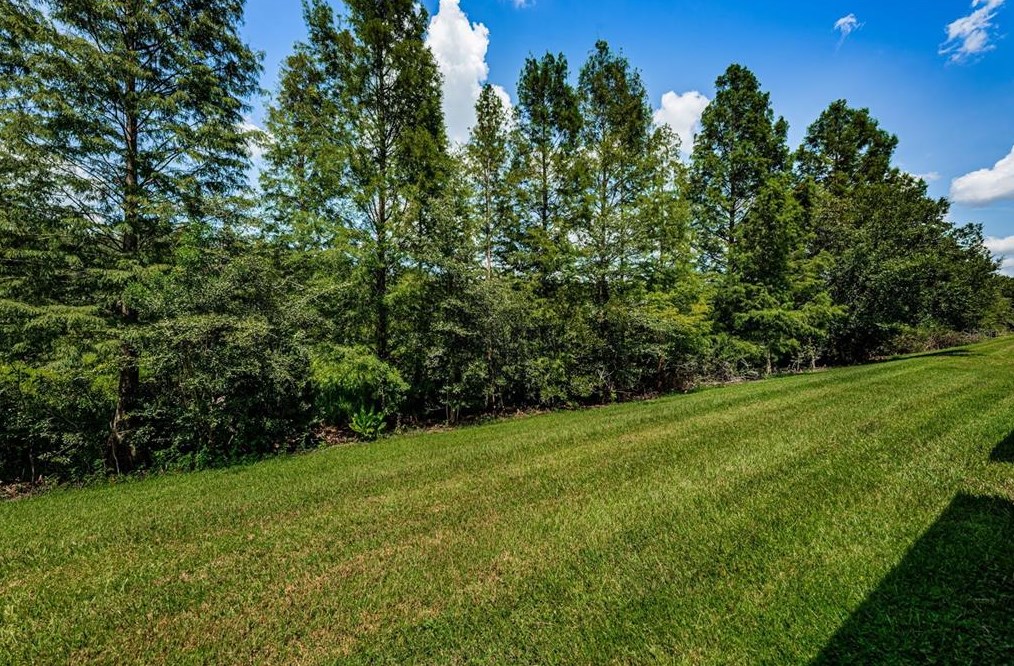 26549 Castleview Way, Zephyrhills FL 33544-4738 exterior