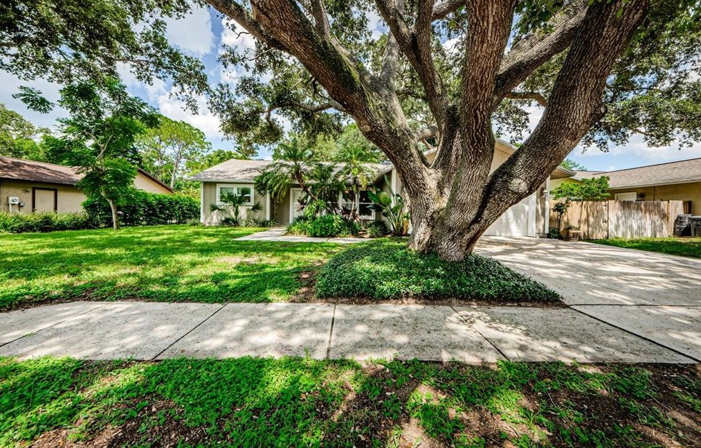 736 Glengary Ln, Palm Harbor, FL 34683