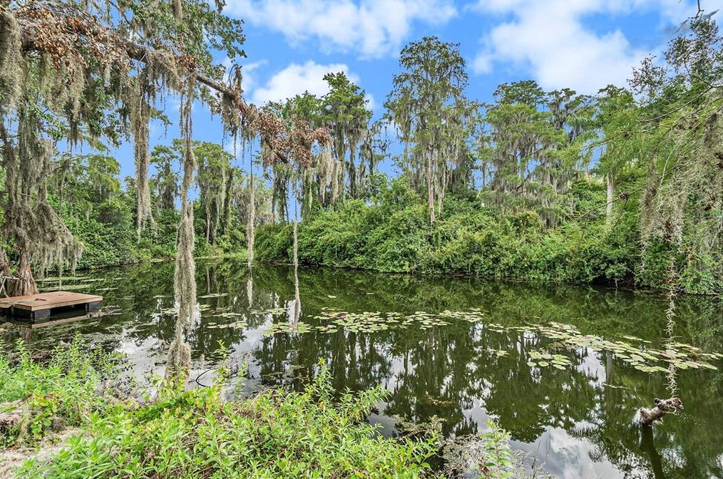 12101 Lacey Dr, New Port Richey, FL 34654
