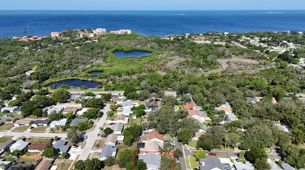 1054 Rolling Oaks Ave, Tarpon Springs, FL 34689