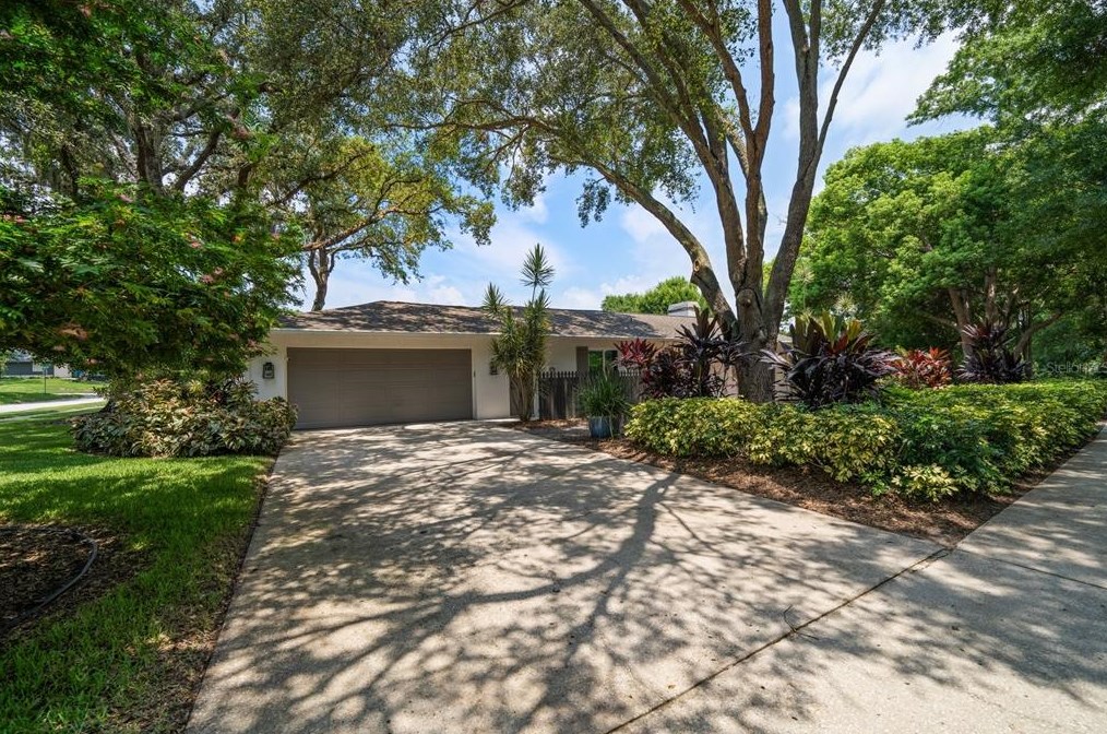 3203 Enisgrove Dr E, Palm Harbor, FL 34683