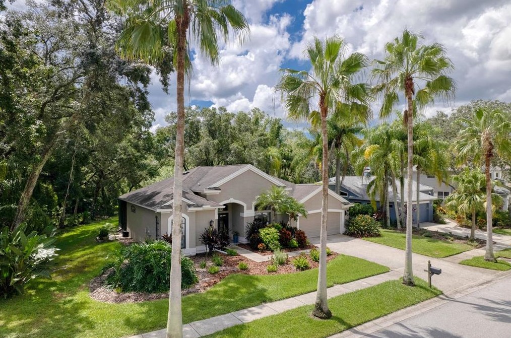 15719 Muirfield Dr, Odessa, FL 33556-2849