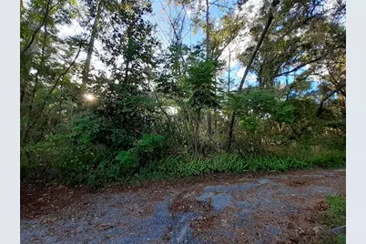 Blue Ridge Avenue, Orange City, FL 32763 - Photo 2