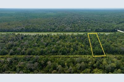 No Address State Rd 44, New Smyrna Beach, FL 32168 - Photo 8