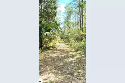 #18 No Street, Deland, FL 32724 - Photo 8