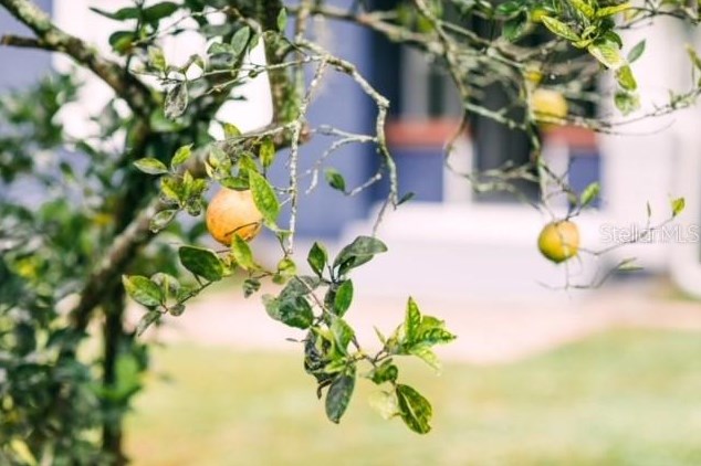 505 Plymouth Ave, Deland FL  32724-2921 exterior