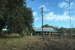 15589 104th St, Live Oak, FL 32060 - Photo 8