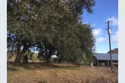 15589 104th Street, Live Oak, FL 32060 - Photo 8